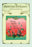 The American Perfumer and Essential Oil Review: Joubet Trailing Arbutus Talcum Powder 20x30 poster