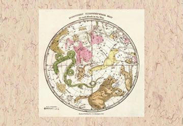 Northern Circumpolar Map 20x30 poster