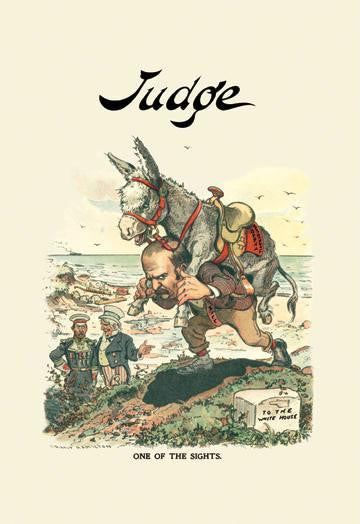 Judge: One of the Sights 20x30 poster