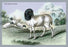 The Persian Sheep 20x30 poster