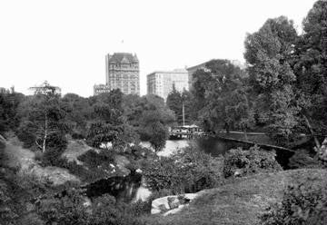 The Pond in Central Park, New York City 20x30 poster