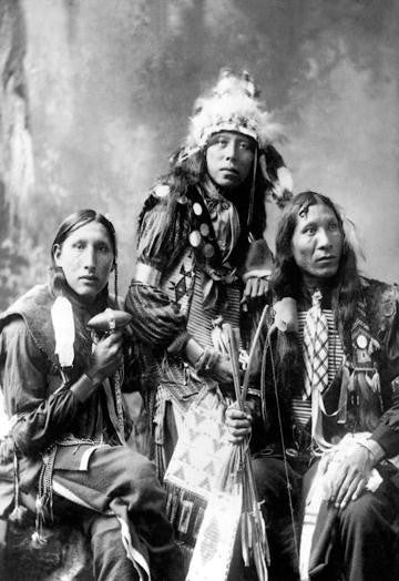 Native American Society Portrait 20x30 poster