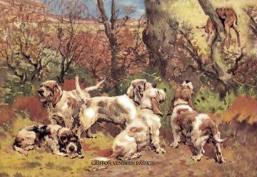 Griffon Vendeen Bassets 20x30 poster