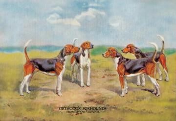 Orthodox Foxhounds 20x30 poster