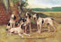 Gascon-Saintongeois Hounds of the Virelade Type 20x30 poster