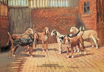 Welsh Hounds 20x30 poster