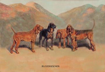 Bloodhounds 20x30 poster