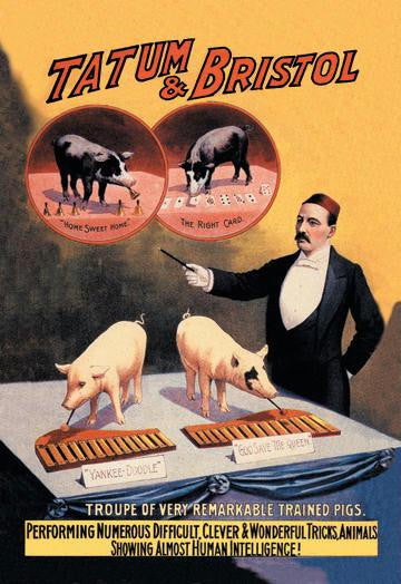 Tatum and Bristol&#39;s Troupe of Trained Pigs 20x30 poster