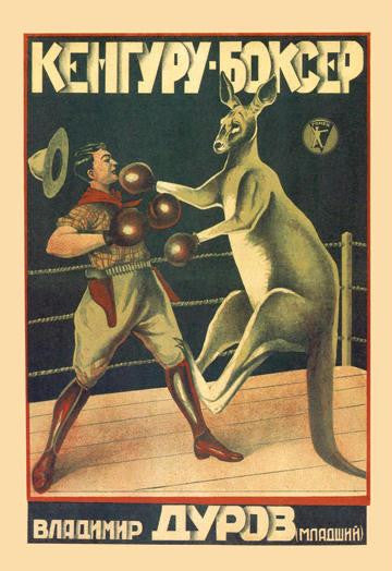 Kangaroo Boxer 20x30 poster