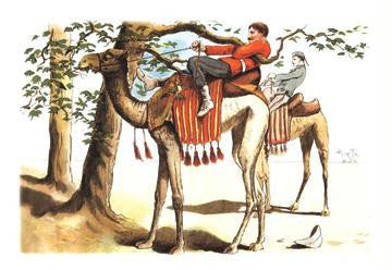 Troubles with a Camel 20x30 poster