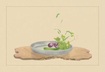 Foxtail Grass, Eggplant, and Cucumber 20x30 poster