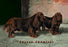 Two Champion Sussex Spaniels 20x30 poster