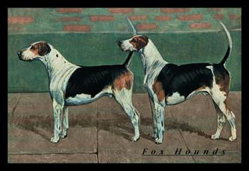 Two Fox Hounds 20x30 poster