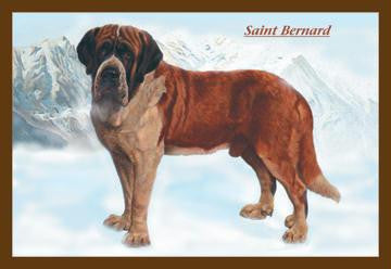 Smooth Coated Saint Bernard 20x30 poster