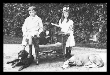 Boy and Girl with Their Four Dogs 20x30 poster