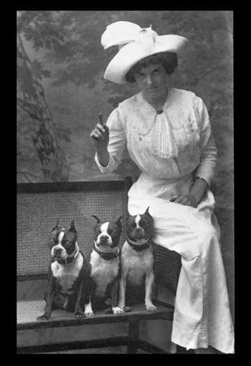 Mrs. Rhoades and Her Three Boston Terriers 20x30 poster