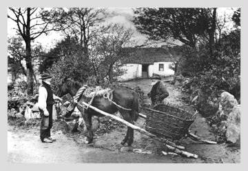 Glen Shesk, County Antrim 20x30 poster