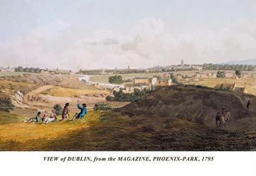 View of Dublin, from the Magazine, Phoenix-Park, 1795 20x30 poster