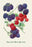 Red and Blue Berries 20x30 poster