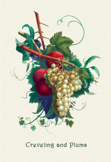 Creveling Grapes and Plums 20x30 poster