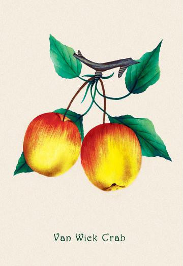 Van Wick Crab Apple 20x30 poster