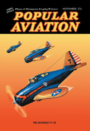 The Seversky P-35 20x30 poster