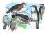 Owls, Buzzards, and Peregrine Falcon 20x30 poster