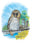 The Barred Owl 20x30 poster