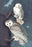 Snowy Owl 20x30 poster