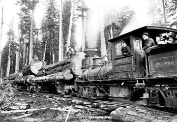 Logging Train 20x30 poster