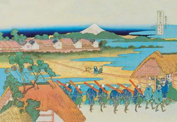 Japanese Army Drill 20x30 poster