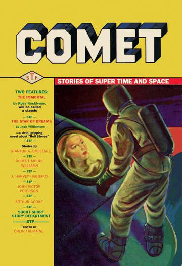 Comet: Beautiful Woman in Rocket Window 20x30 poster