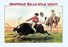 Buffalo Bill: Steer Riding 20x30 poster