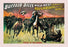 Buffalo Bill: Perils of the Cowboy 20x30 poster