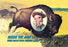 Buffalo Bill: Home Again 20x30 poster