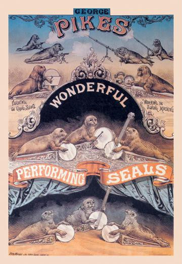 Pikes Wonderful Performing Seals 20x30 poster