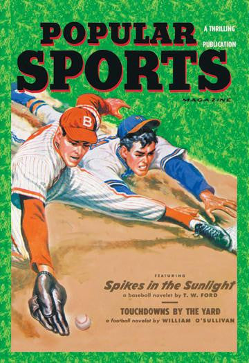 Popular Sports: Spikes in the Sunlight 20x30 poster