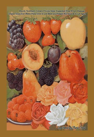 Hardy Northern Grown Fruits 20x30 poster