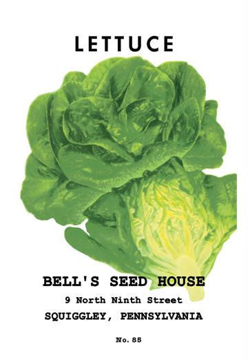 Lettuce 20x30 poster