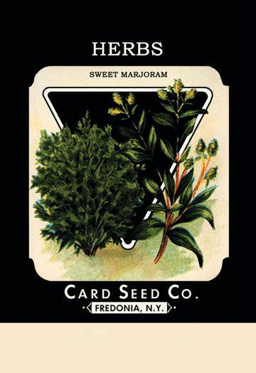 Herbs: Sweet Marjoram 20x30 poster