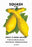 Squash: Yellow Summer Crookneck 20x30 poster