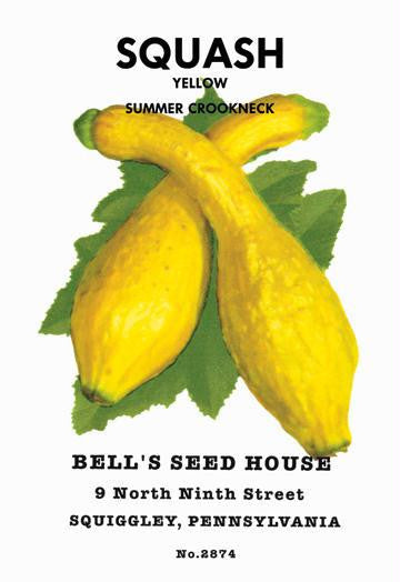 Squash: Yellow Summer Crookneck 20x30 poster