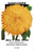 Sunflower 20x30 poster