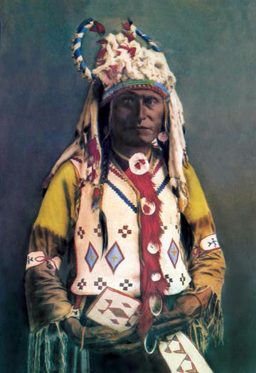 Sioux Chief Old Hand 20x30 poster