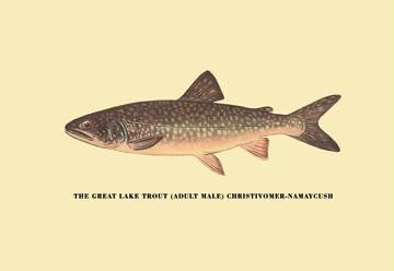 The Great Lake Trout 20x30 poster