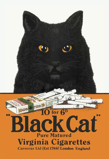 Black Cat Pure Matured Virginia Cigarettes 20x30 poster