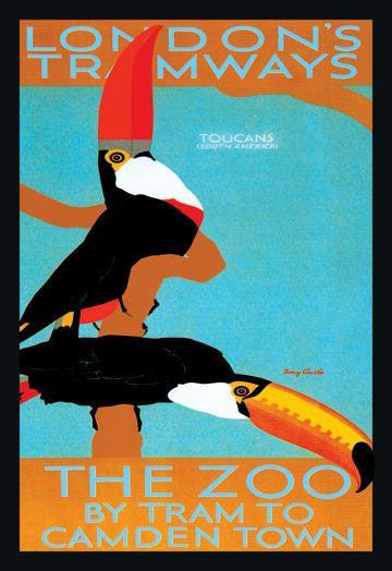 The London Zoo: South American Toucans 20x30 poster