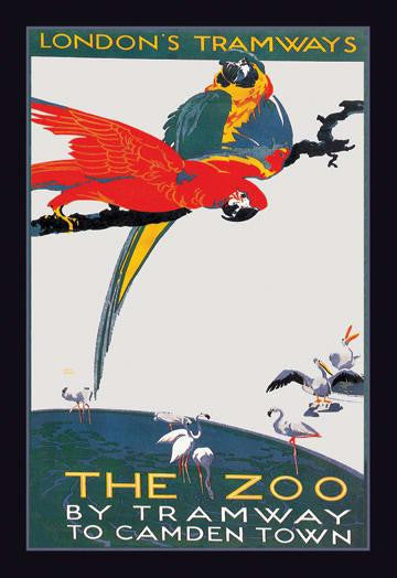 The London Zoo: The Macaw 20x30 poster