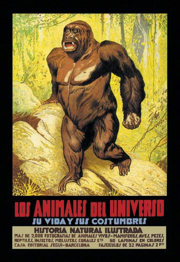 Los Animales del Universo 20x30 poster