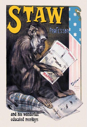 Professor Staw and His Wonderful Educated Monkeys 20x30 poster